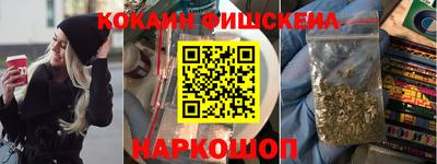 индика Гусев