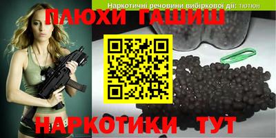 индика Гусев