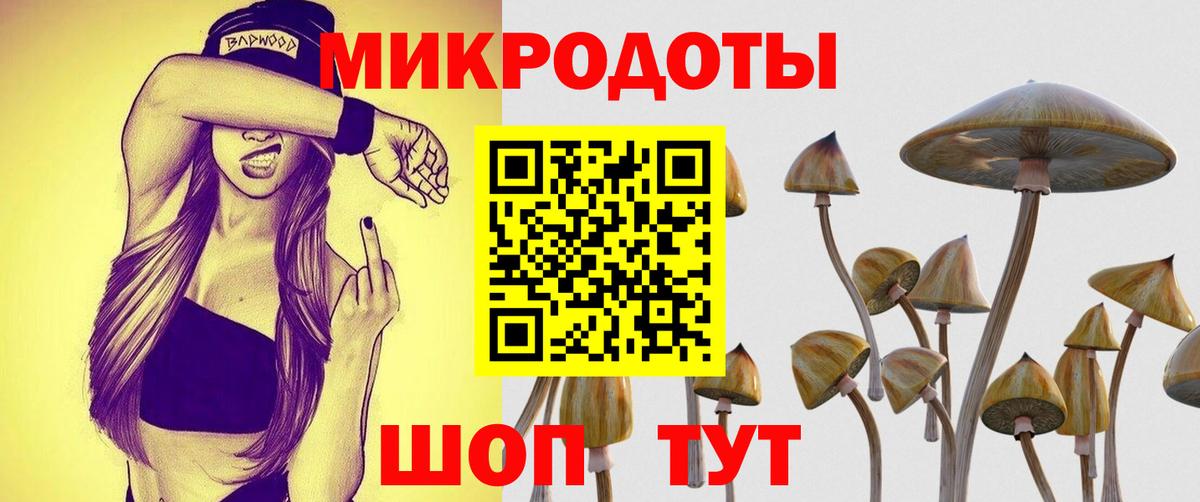 Галлюциногенные грибы GOLDEN TEACHER Малоярославец